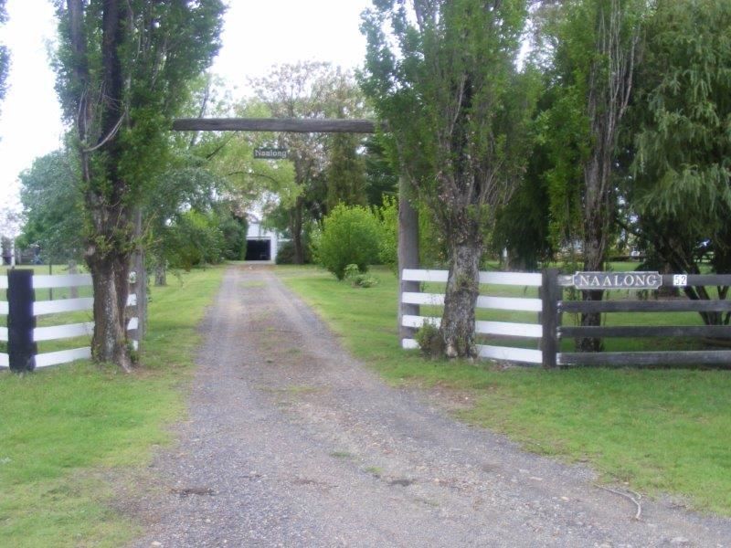 'Naalong'/52 Wilson Road, Glen Innes NSW 2370, Image 0