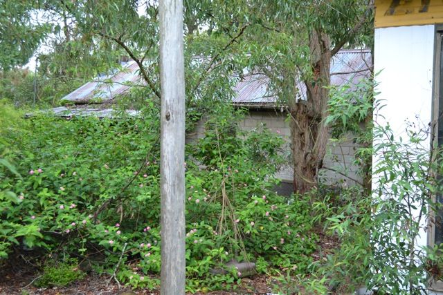 4 Uffington Road, Duns Creek NSW 2321