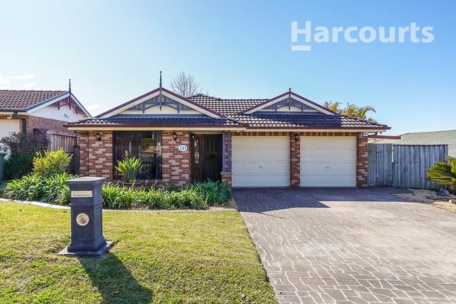 Picture of 137 Holdsworth Drive, MOUNT ANNAN NSW 2567