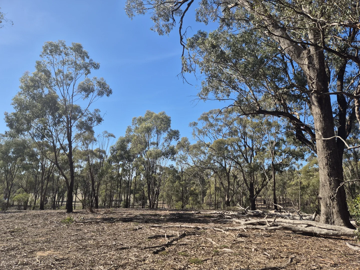Image 15