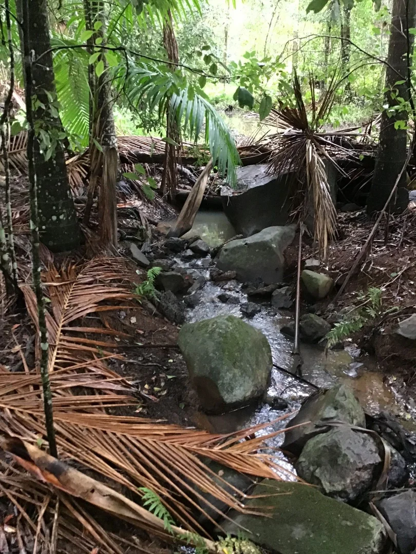 Additional image 20 of Numulgi NSW 2480