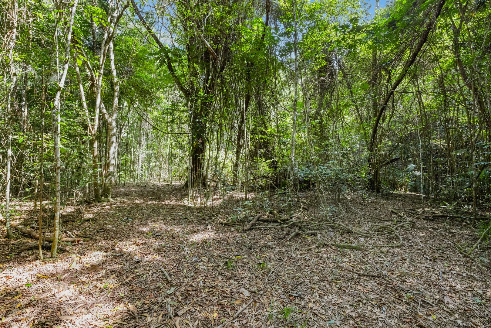 Lot 35 Kingfisher Drive, Kuranda QLD 4881, Image 2