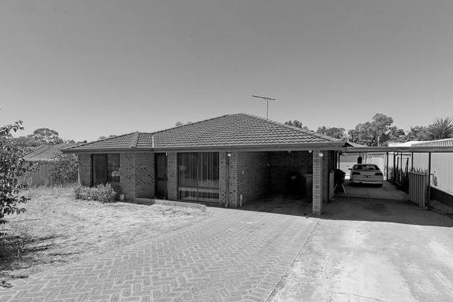 Picture of 8 Warner Road, PARMELIA WA 6167