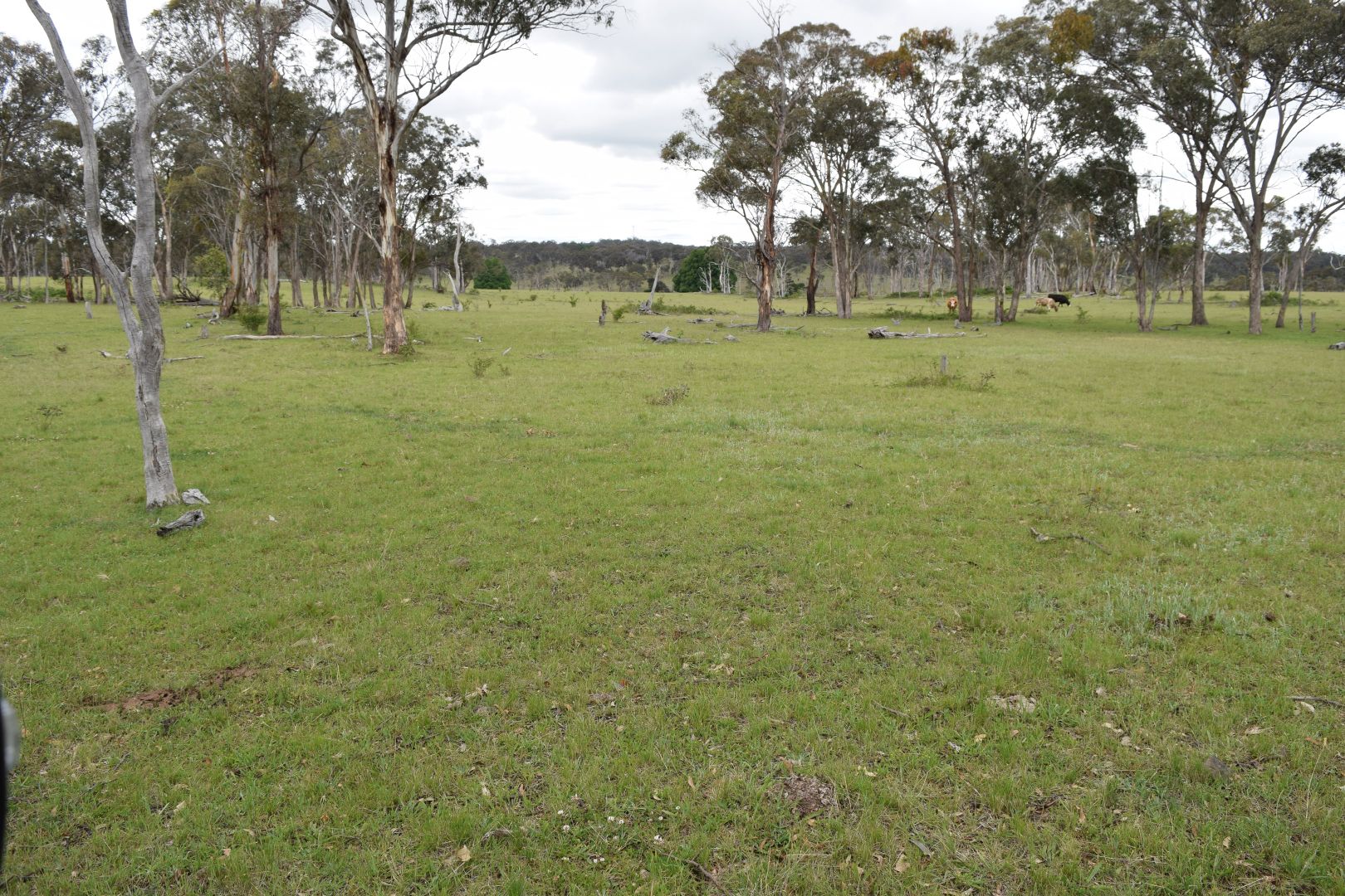 460 Donald Road, Armidale NSW 2350, Image 2