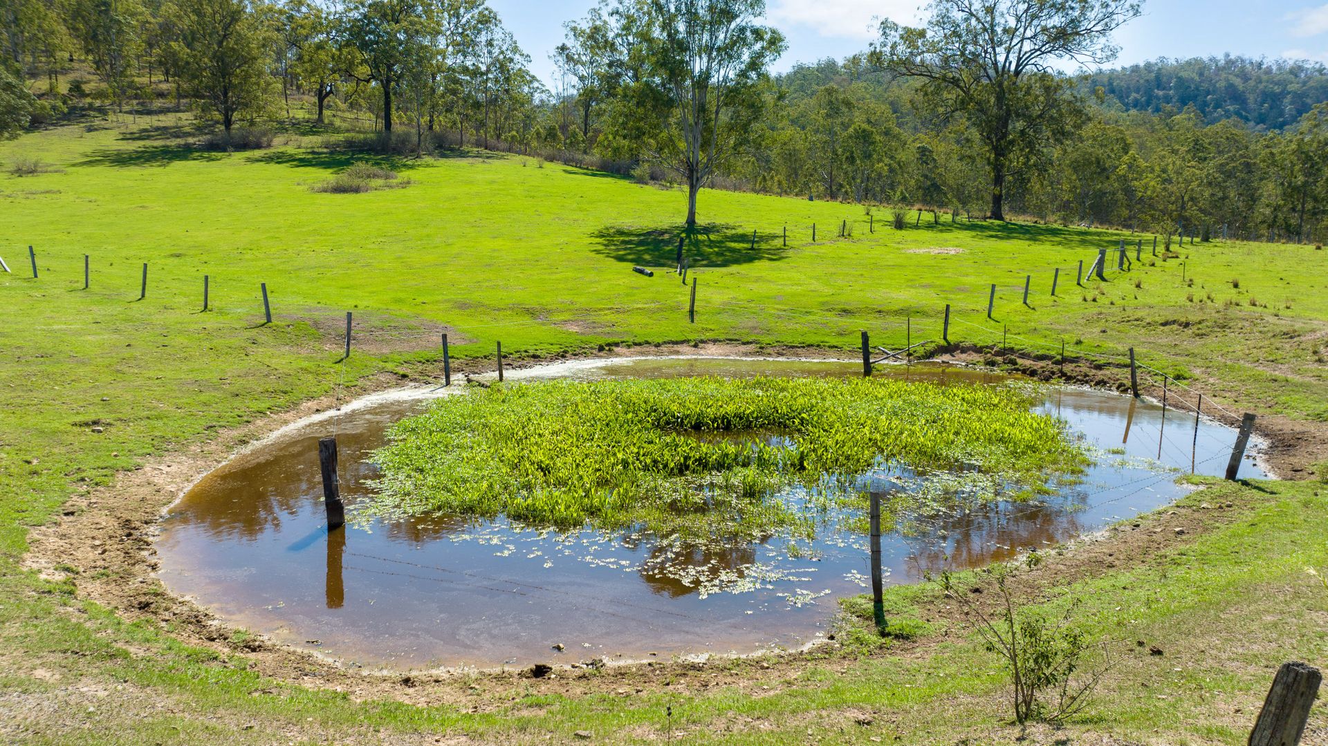 Lot 162 Old Glen Innes Road, Buccarumbi NSW 2460, Image 2