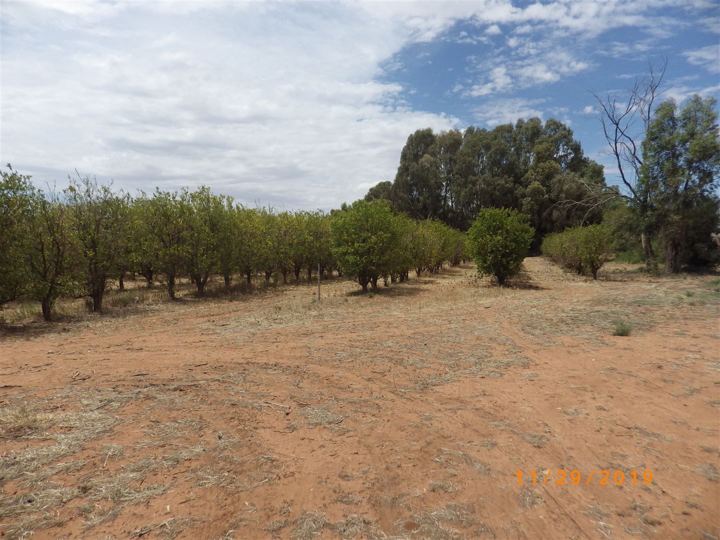 472 Kingston Road, Moorook SA 5332, Image 1