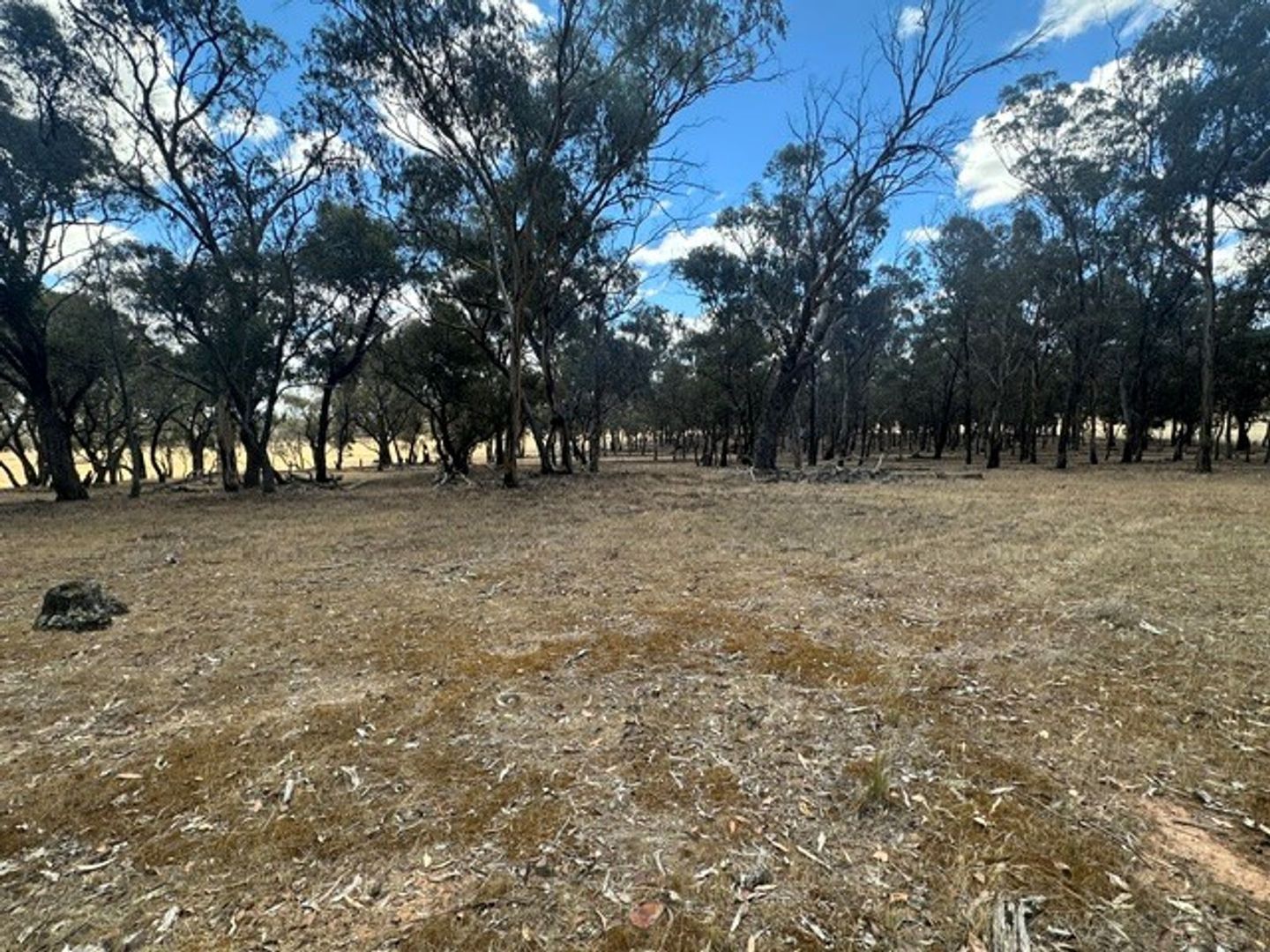 C/A 3P Sec A Bealiba-Rheola Road, Cochranes Creek VIC 3475, Image 2