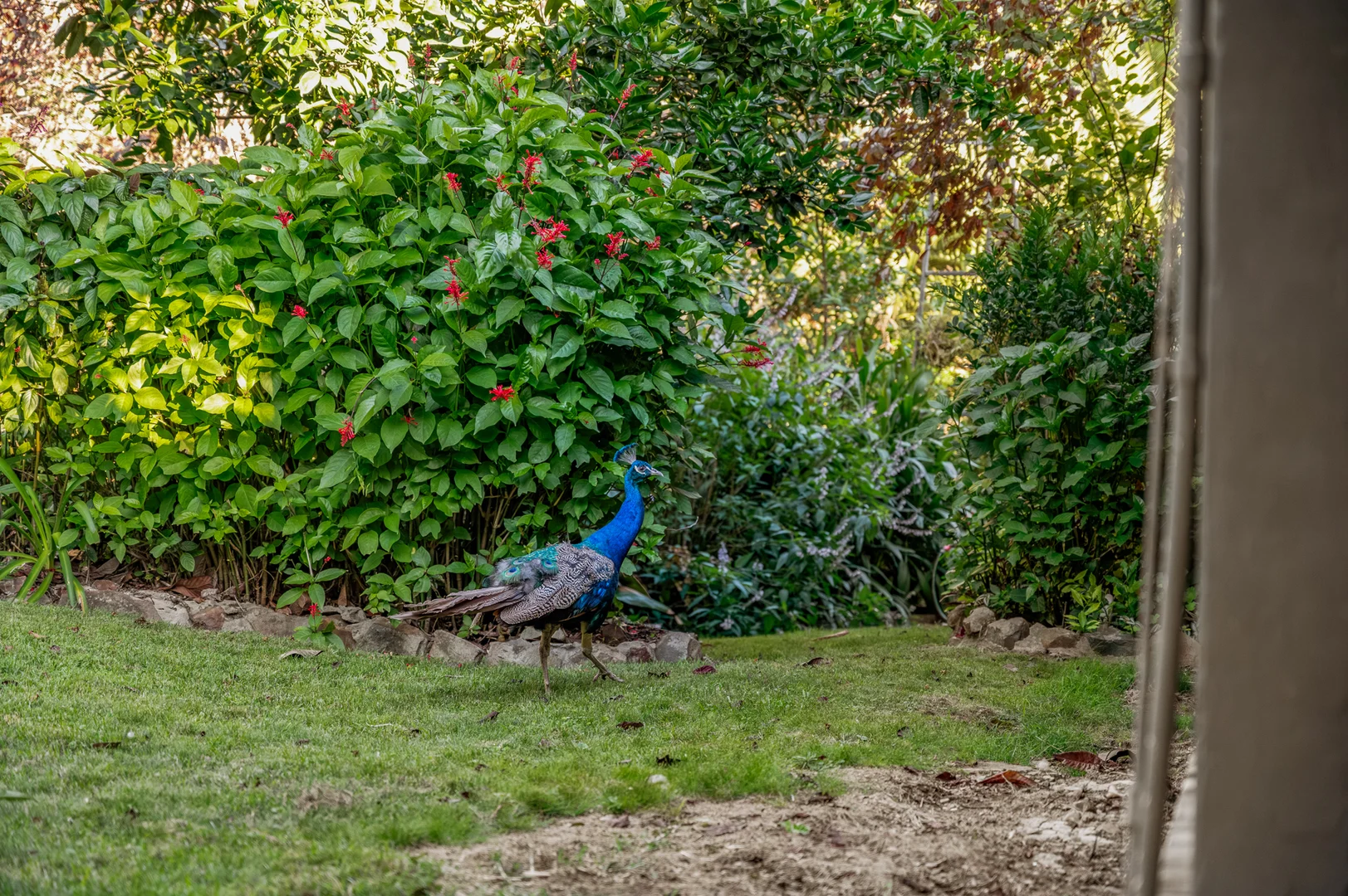 Additional image 51 of 664 Scone Road, Copeland via, Gloucester NSW 2422