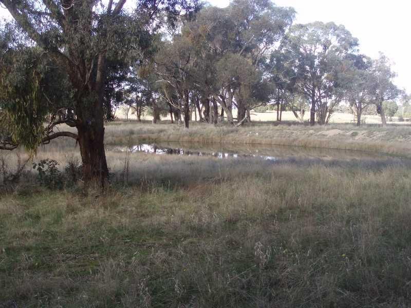 Lot 7 Calder Highway, FARADAY VIC 3451, Image 2