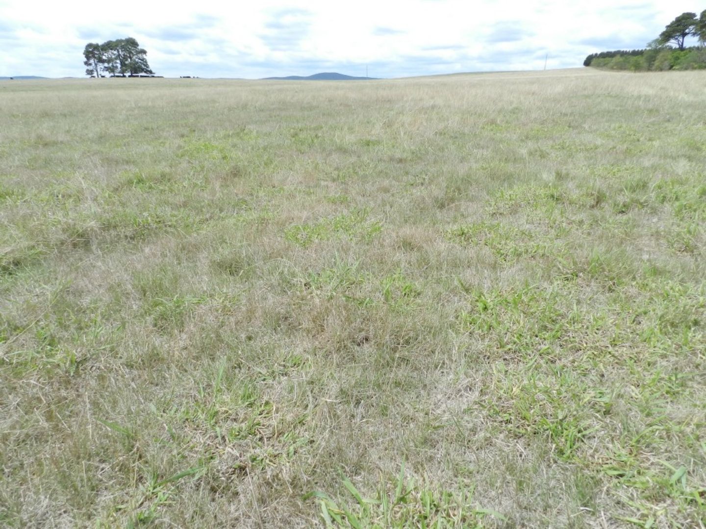 Lot 2 Windellama Road, Goulburn NSW 2580, Image 2