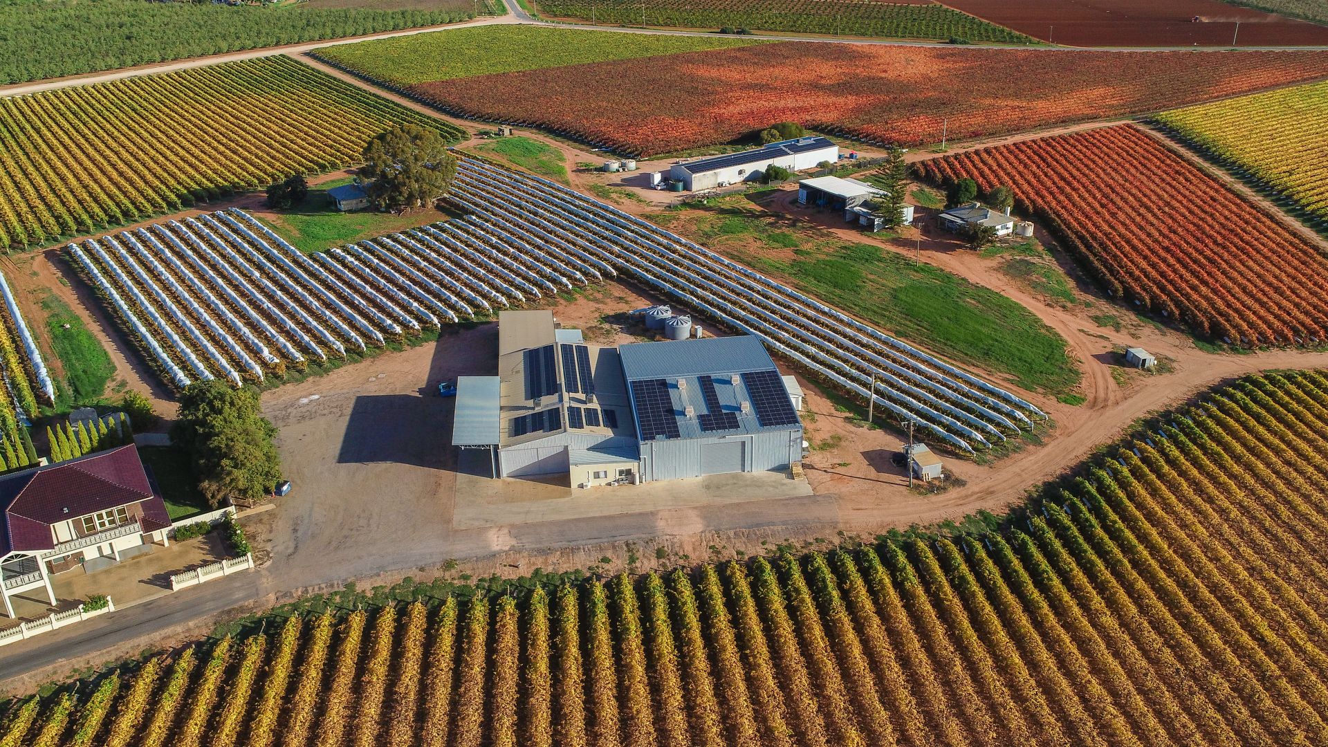 180 Stewart Road, Red Cliffs VIC 3496 House for Sale Domain