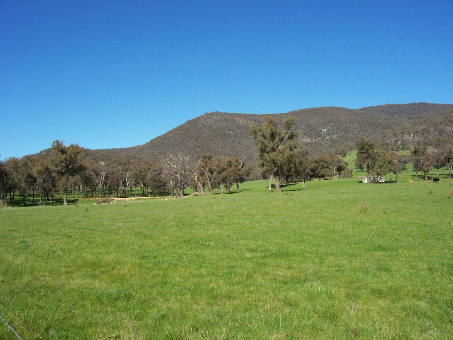 1586 (Lot 9) Kiewa Valley Highway, KIEWA VIC 3691, Image 1