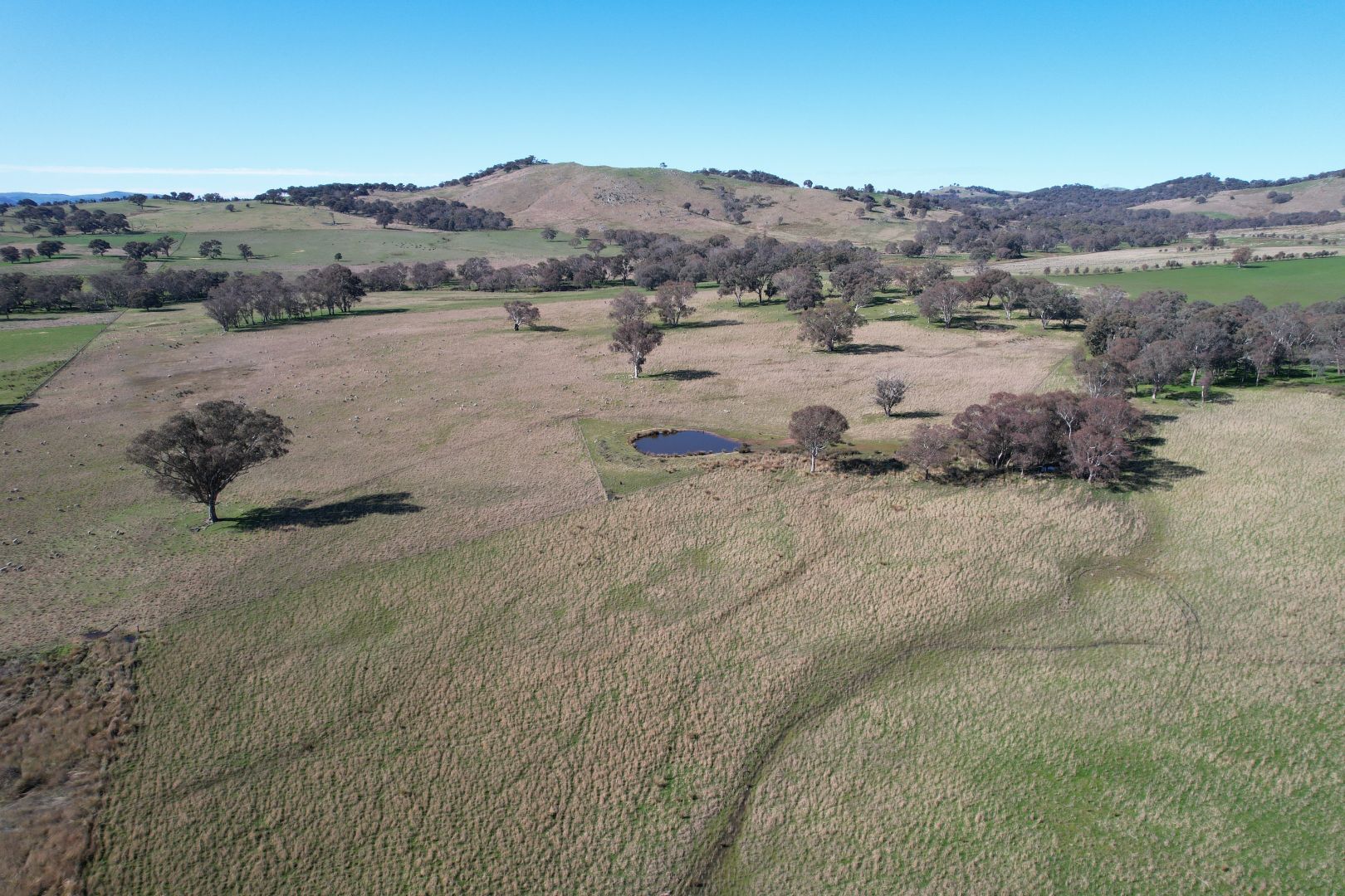 Talbragar, Bogolara Road, Bookham NSW 2582, Image 1