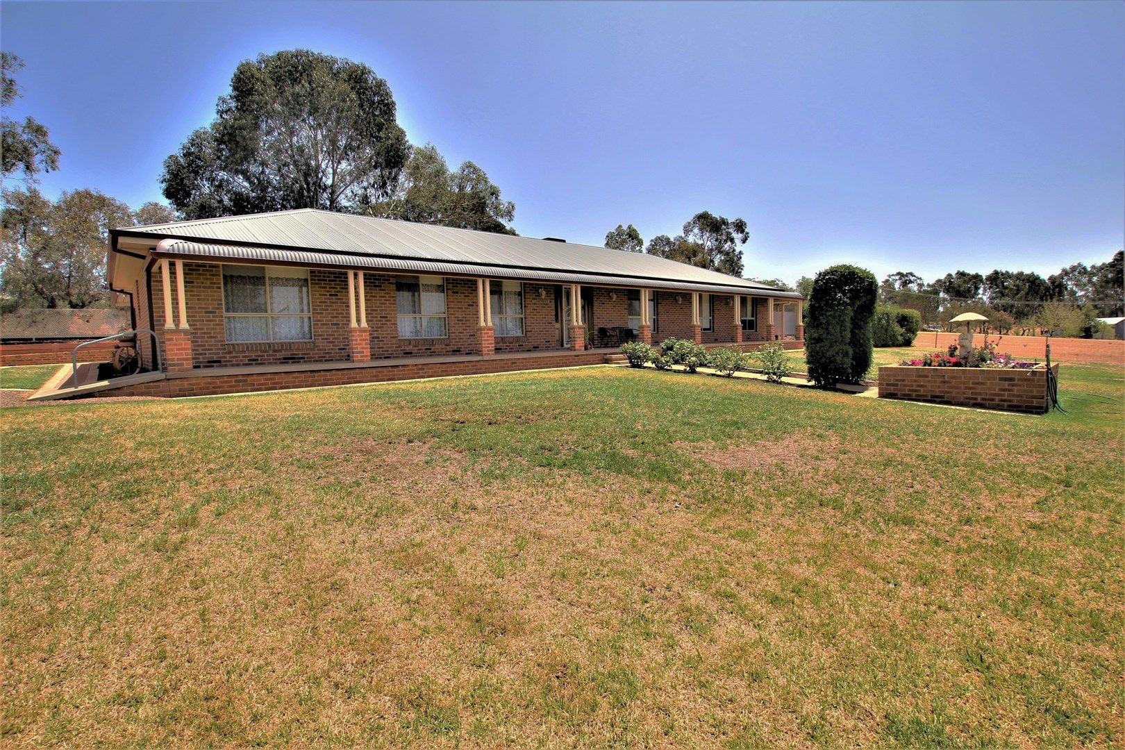 1395 Kingsvale Road, Young NSW 2594, Image 1