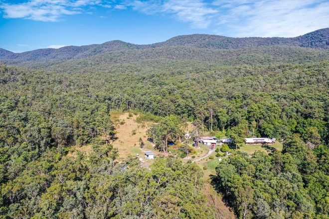 Picture of 250 Emu Creek Road, CRAWFORD RIVER NSW 2423