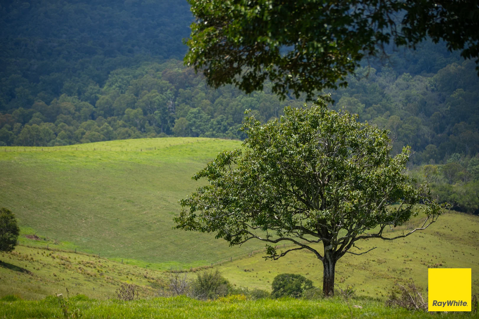 Additional image 22 of 262 Snows Road, Dorrigo NSW 2453