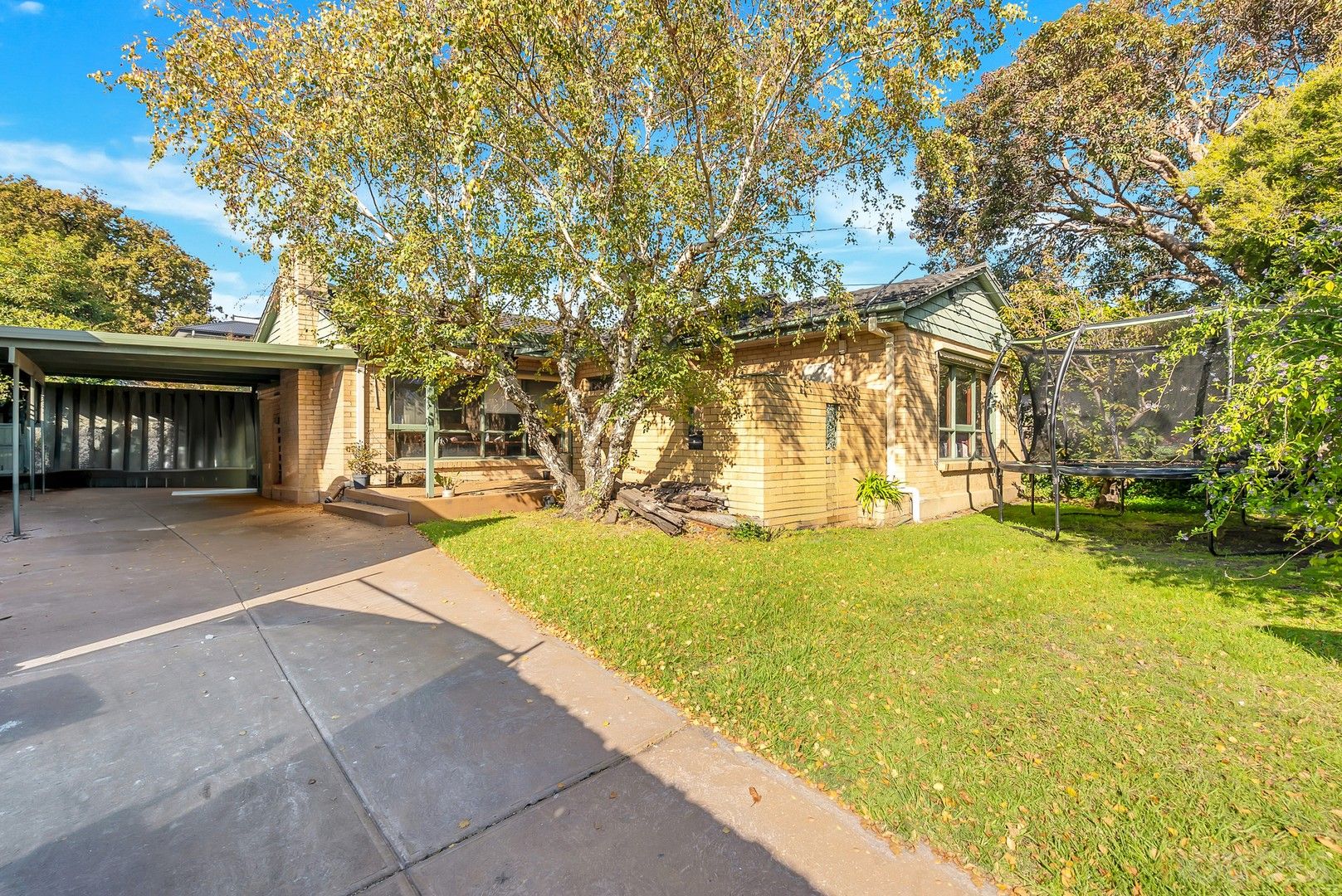 40 Paul Street, Cheltenham VIC 3192, Image 0