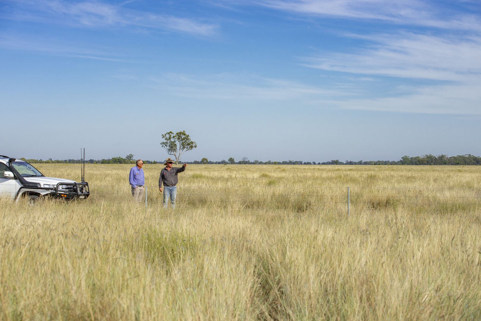 390 THARA ROAD, Coonamble NSW 2829, Image 2