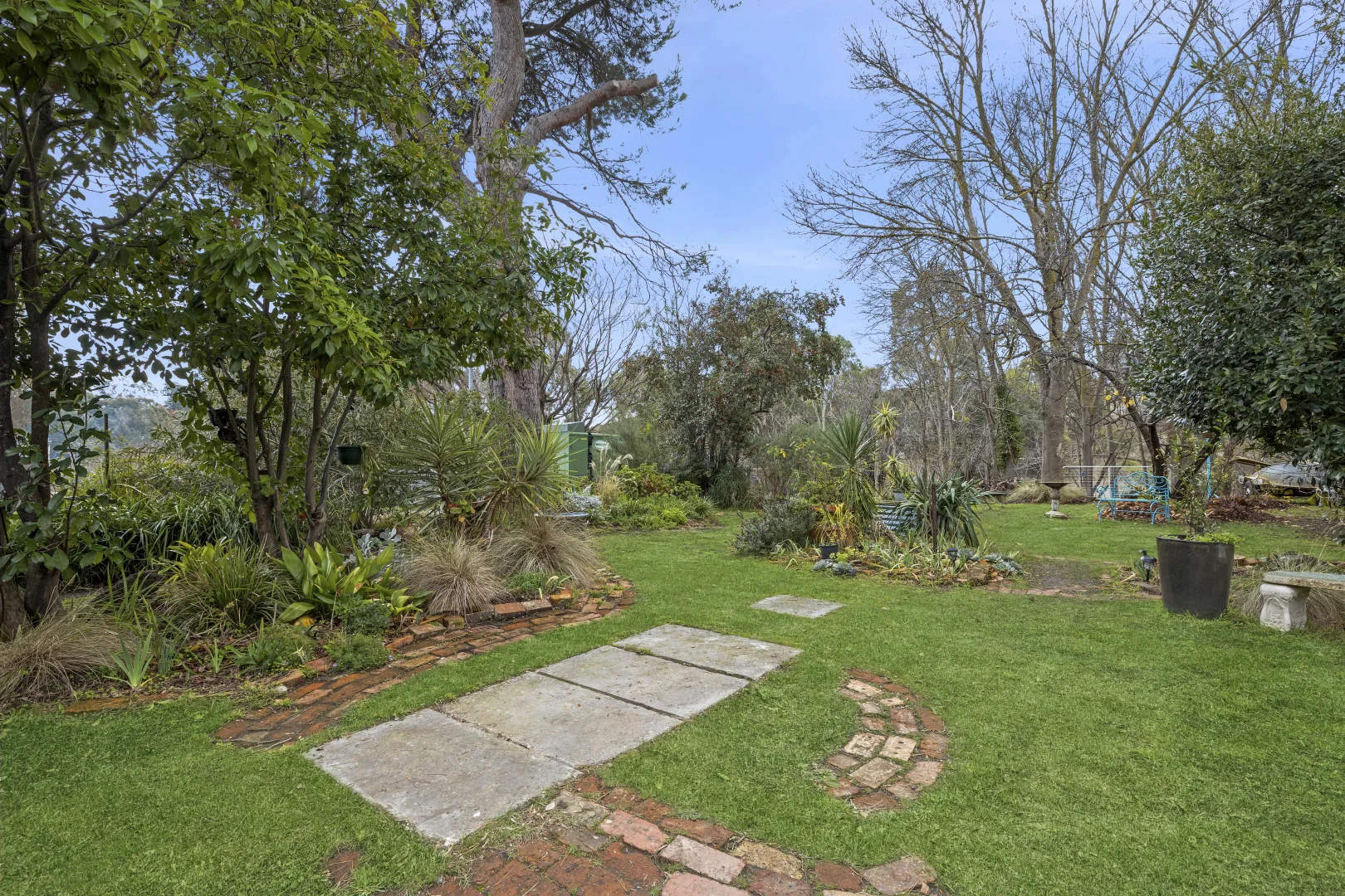 Image 12