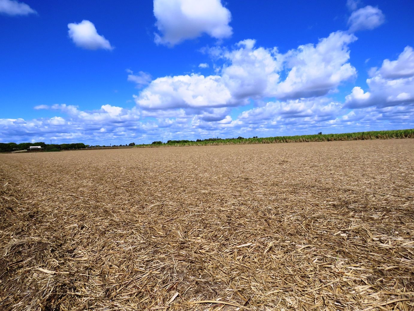 Woongarra QLD 4670 House for Sale Domain