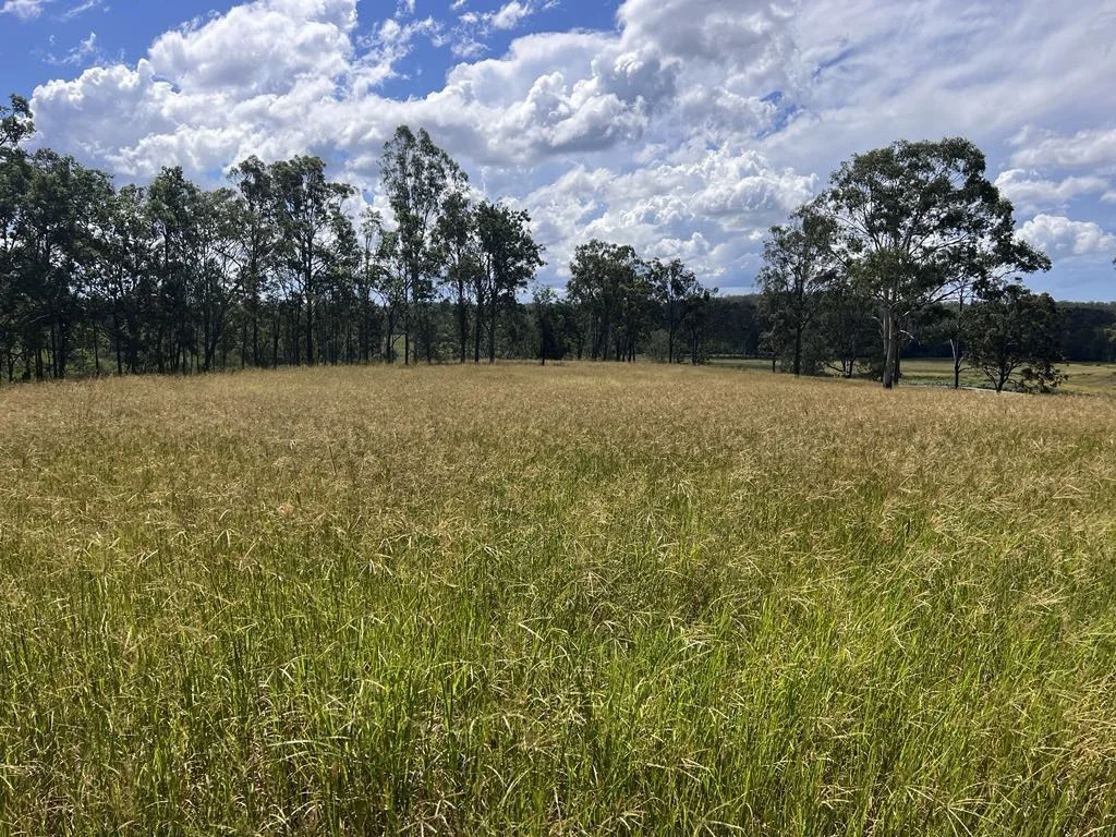Image 15