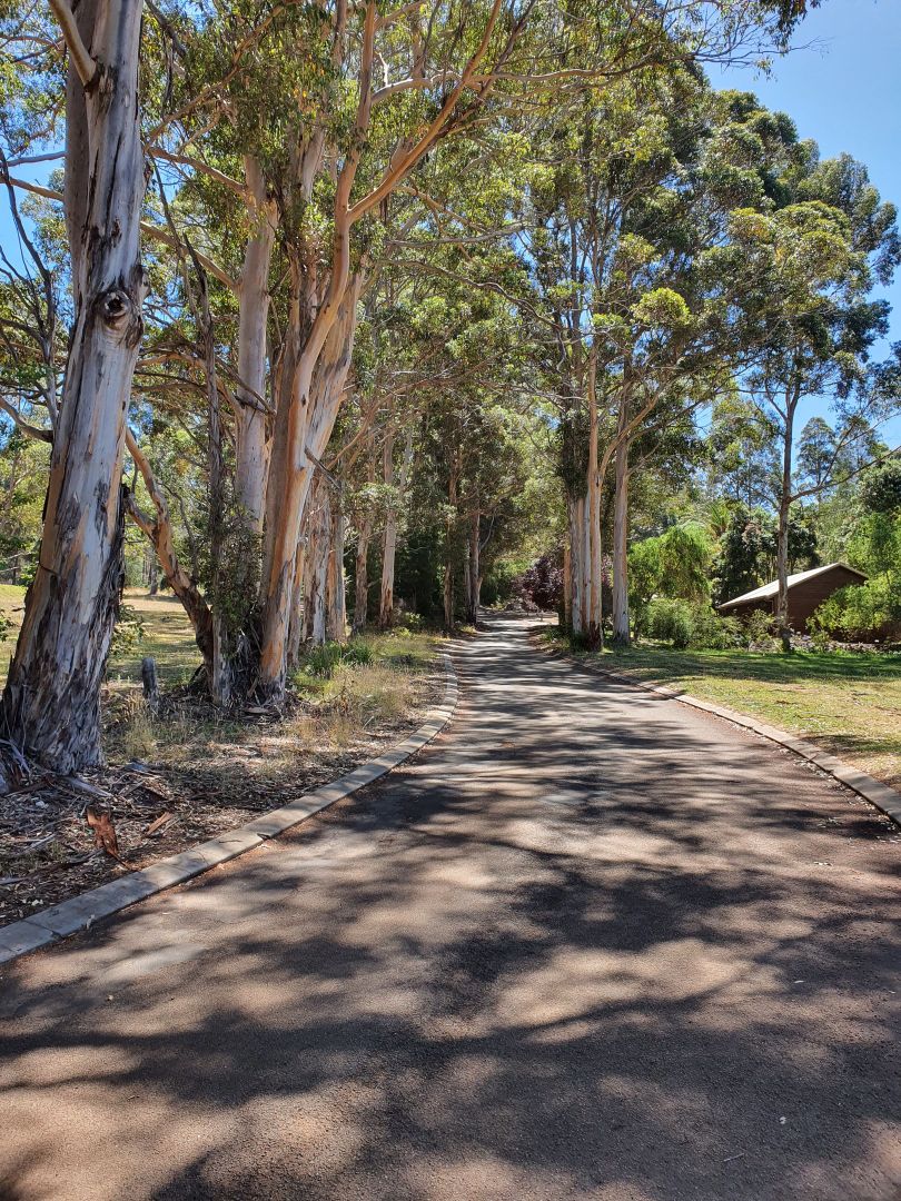 349 Kearsley Road, Denmark WA 6333 Domain