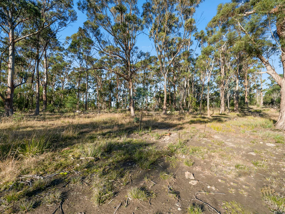 Image 8