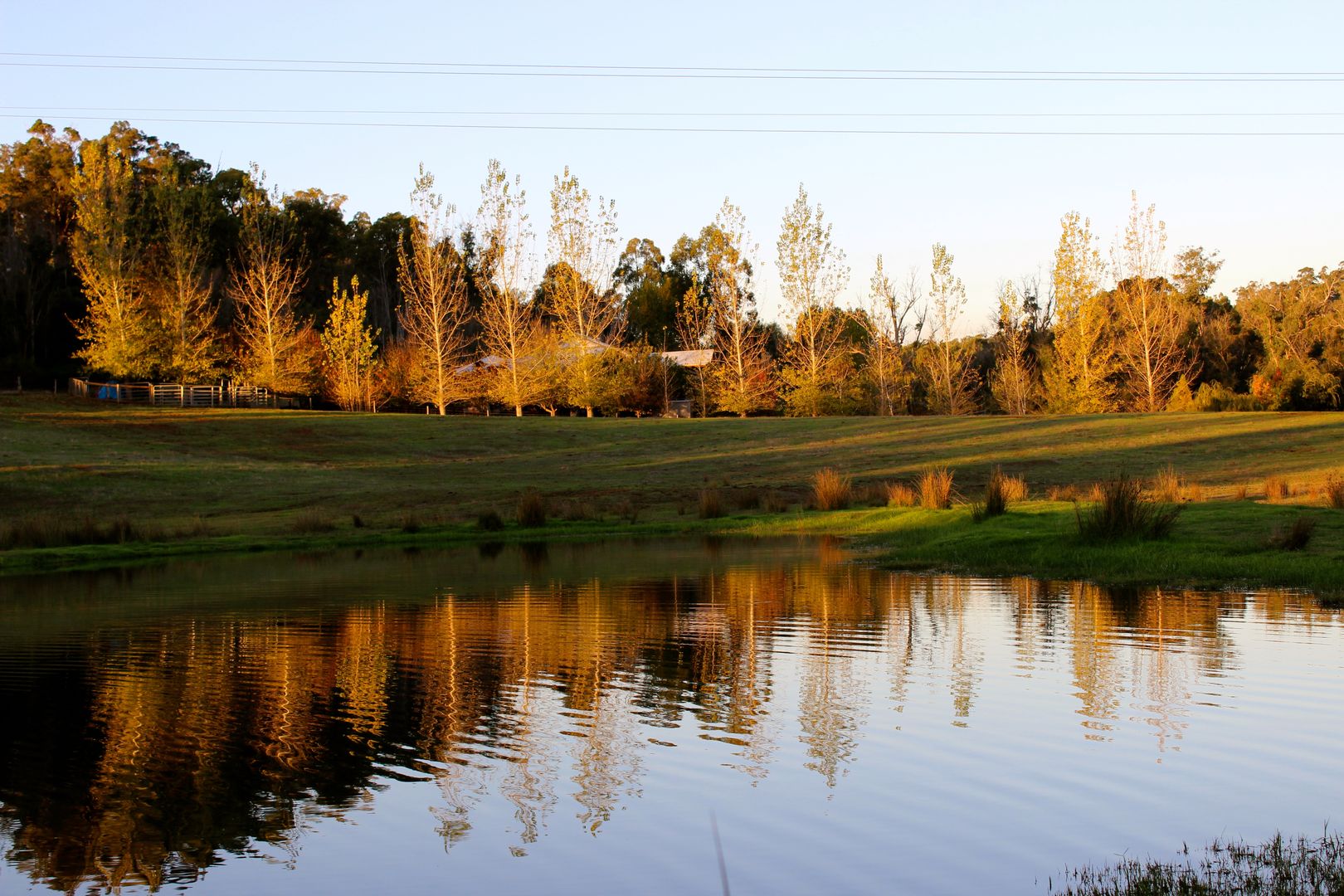 37 Grimwade Road, Balingup WA 6253 House for Sale 895,000