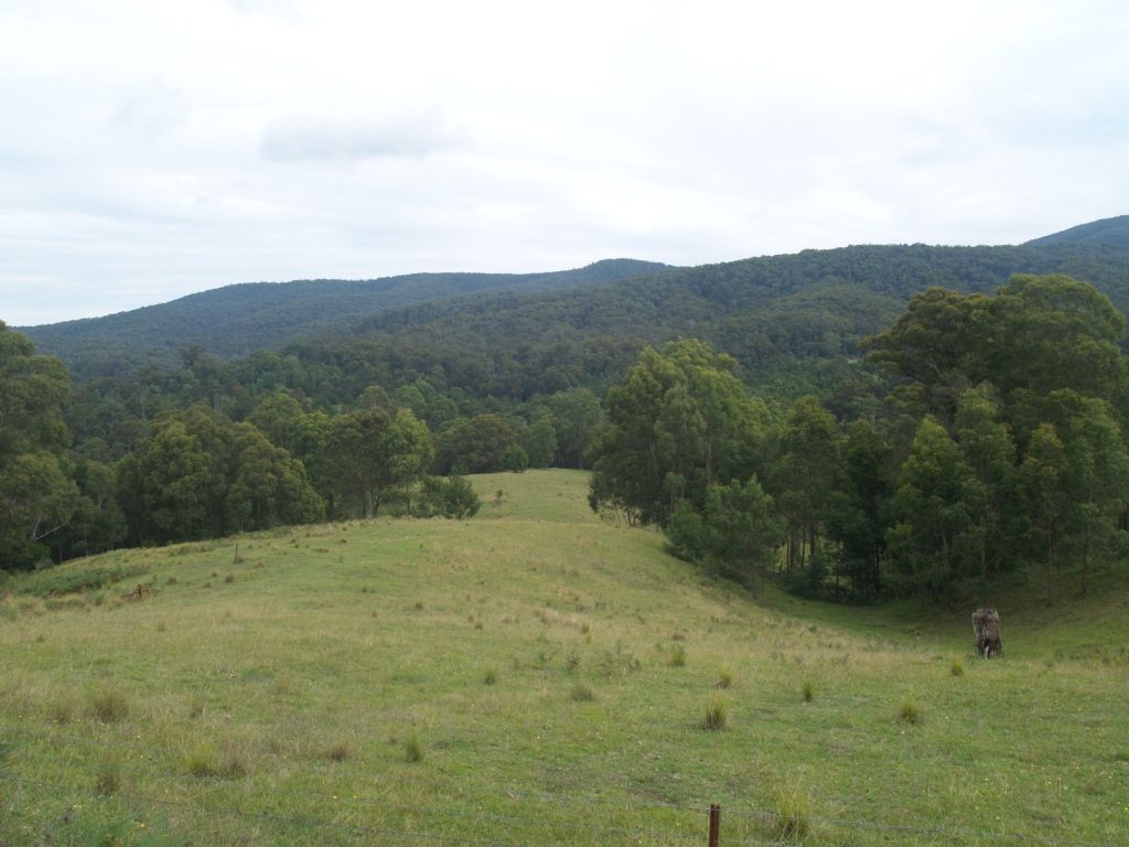 140 Stockridge Rd, Brogo NSW 2550, Image 0