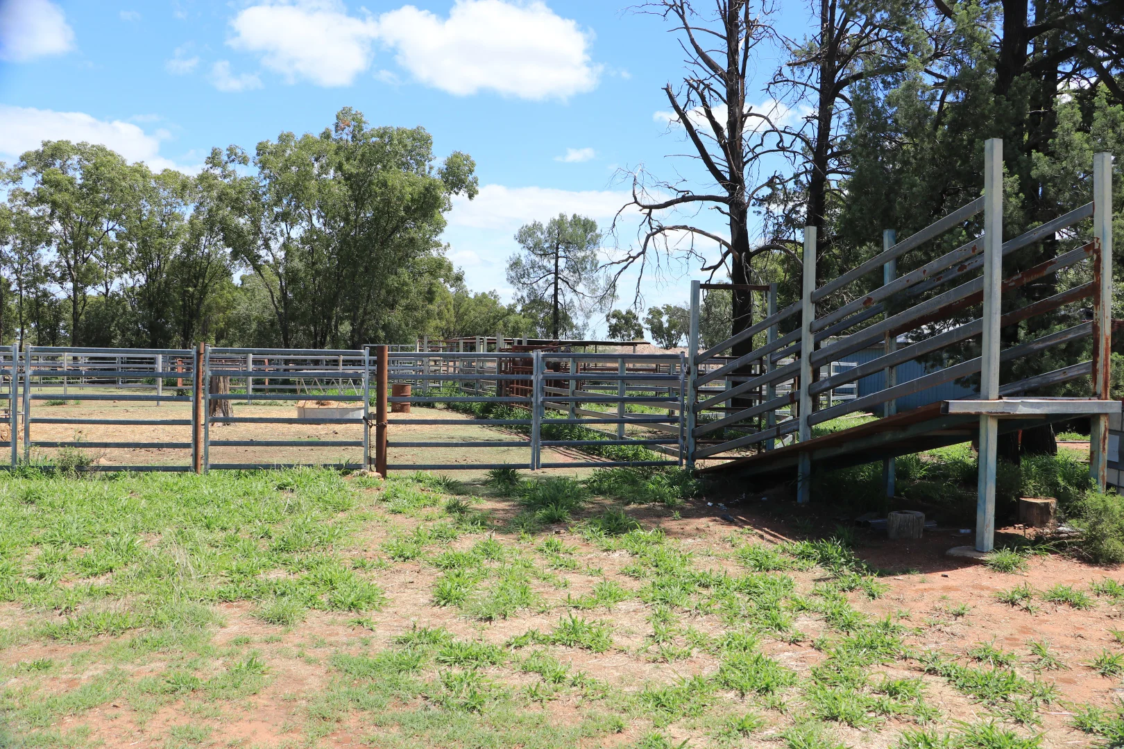 Additional image 14 of 952 Yuleba Surat Road, Yuleba QLD 4427