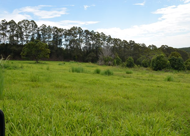 518 Humpty Back Road, Pearces Creek NSW 2477