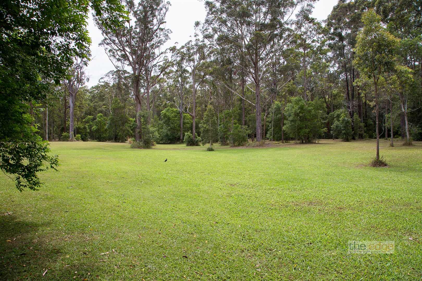 Lot 152 Lake Russell Drive, Emerald Beach NSW 2456, Image 2