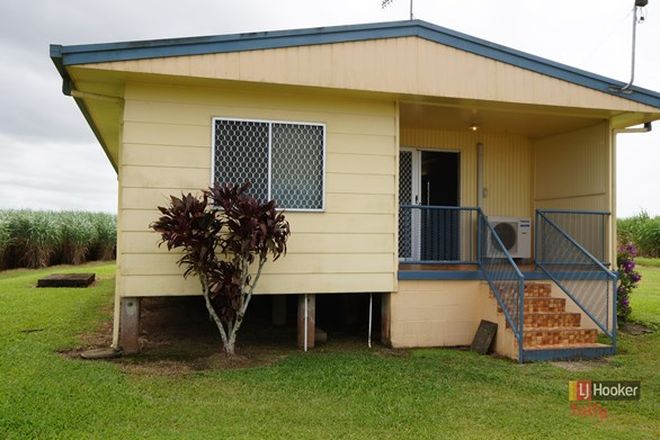 Picture of 709 Tully-Hull Road, LOWER TULLY QLD 4854