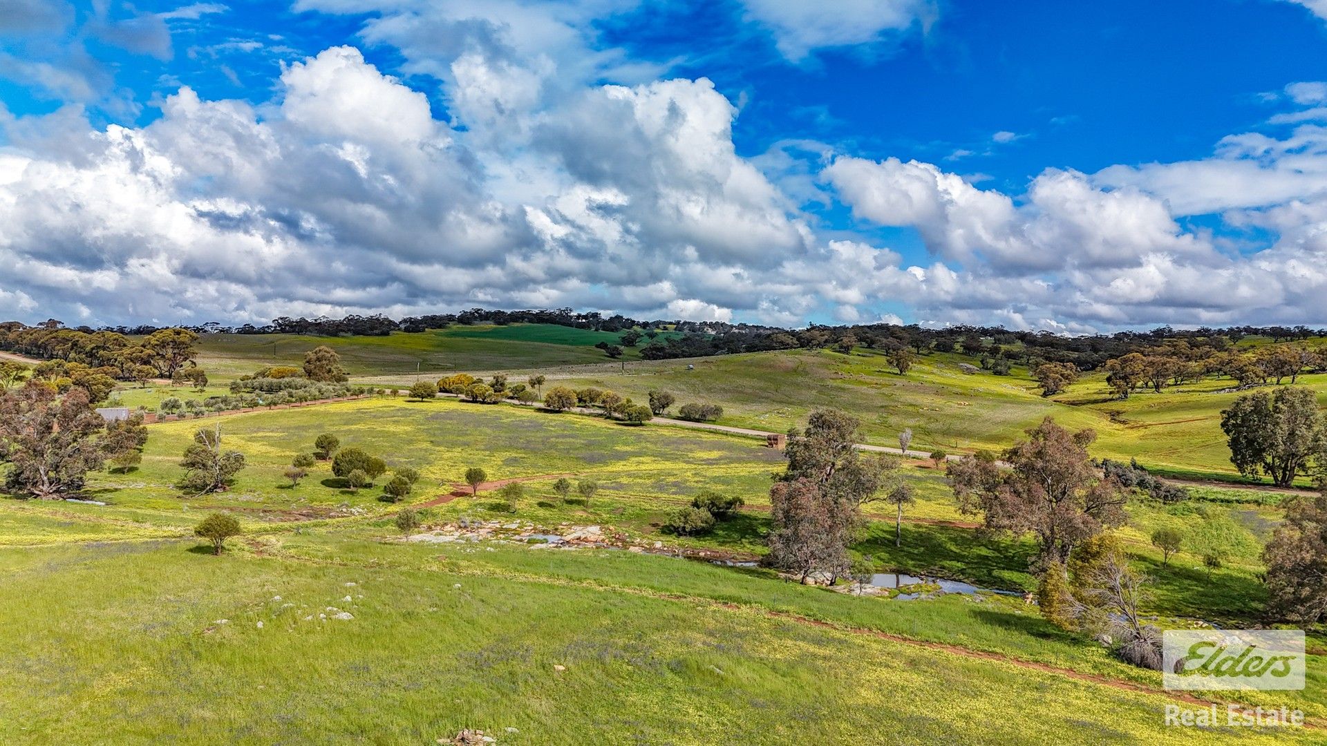 Vacant land in 205 Dumbarton Road, DUMBARTON WA, 6566