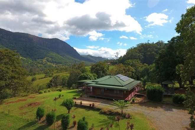 Picture of 3033 Nerang Murwillumbah Road, NATURAL BRIDGE QLD 4211