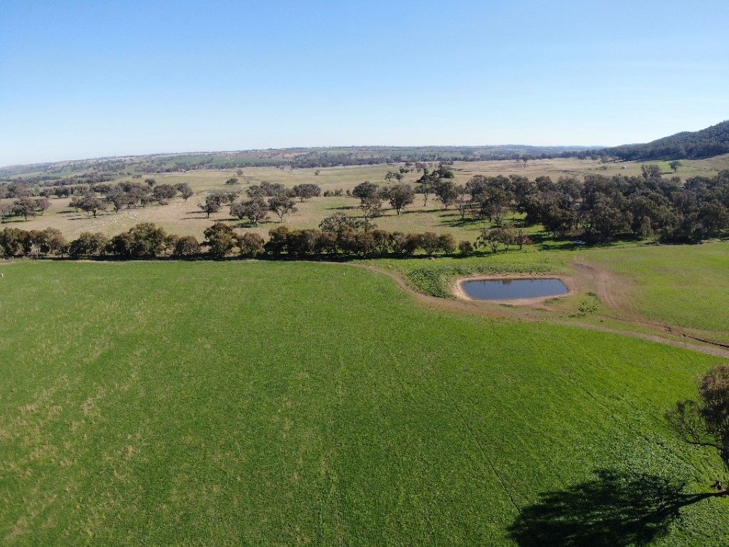 'Black Range' Cusack Road, Boorowa NSW 2586 Farm for Sale Domain