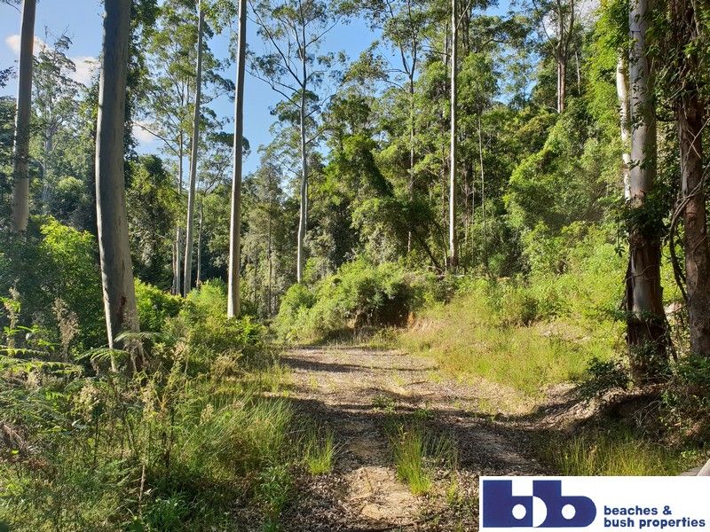 Wards River NSW 2422 Vacant Land for Sale 620,000 Domain