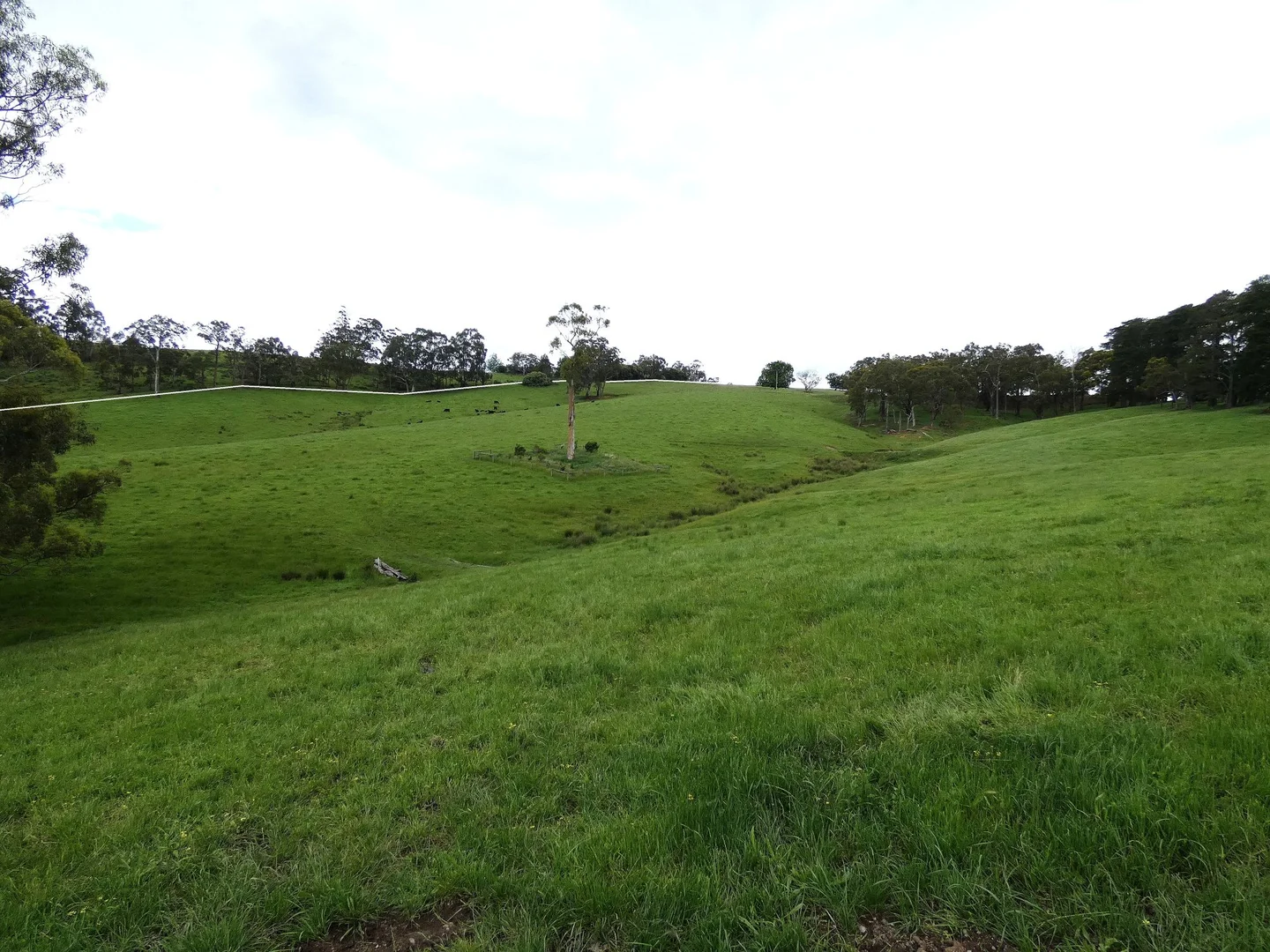 Image 20