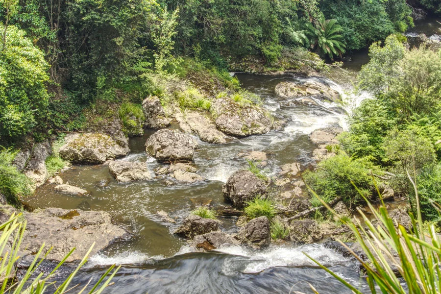 Image 12