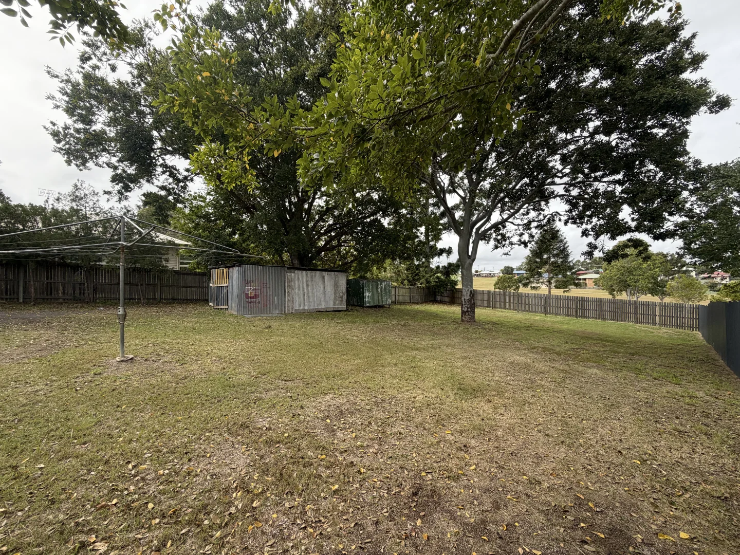 Image 14