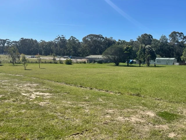 Image 6