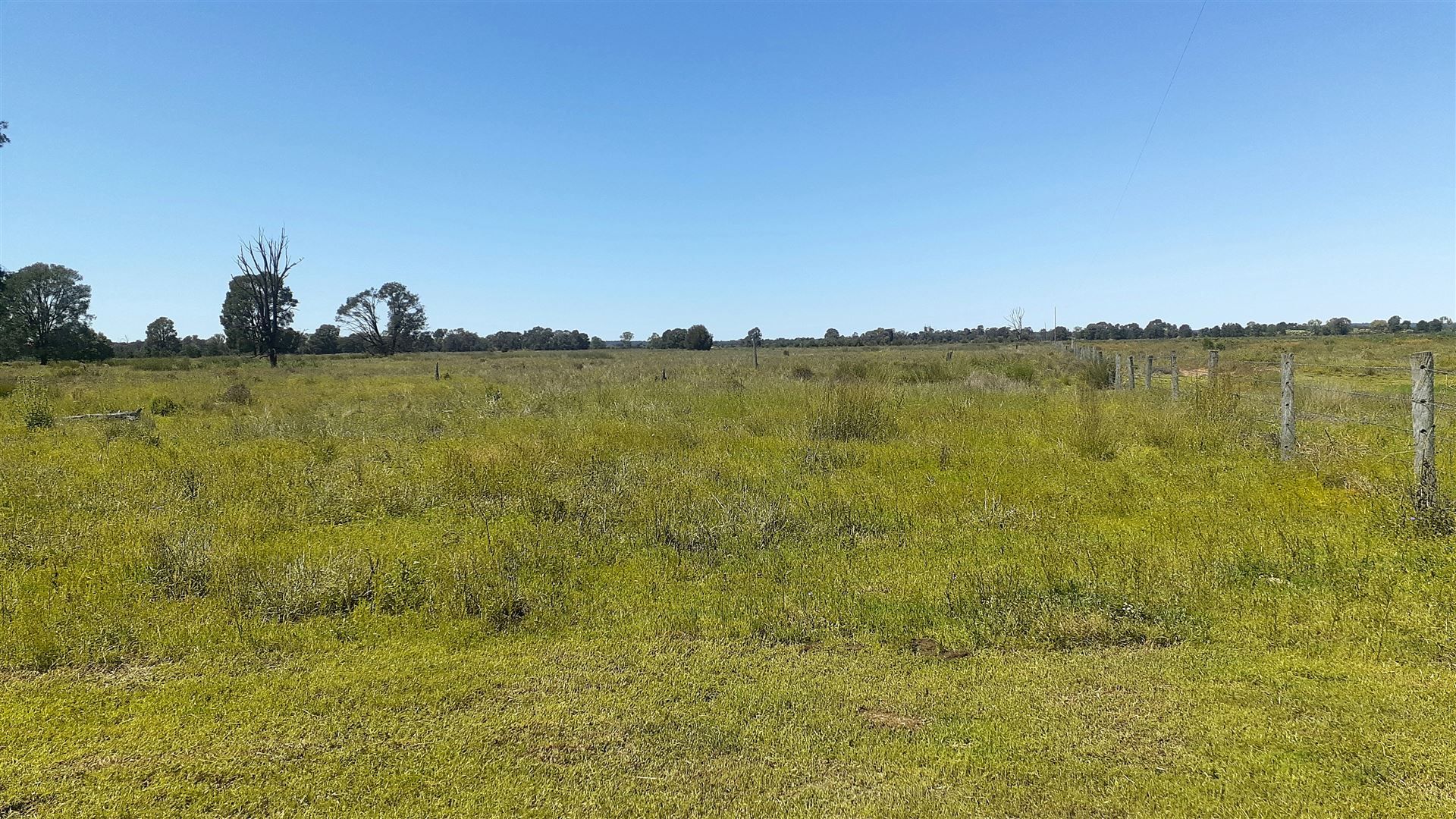 647 Smiths Road, Darr Creek QLD 4410 House for Sale Domain