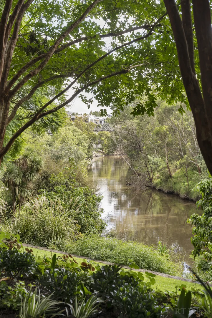 Image 15