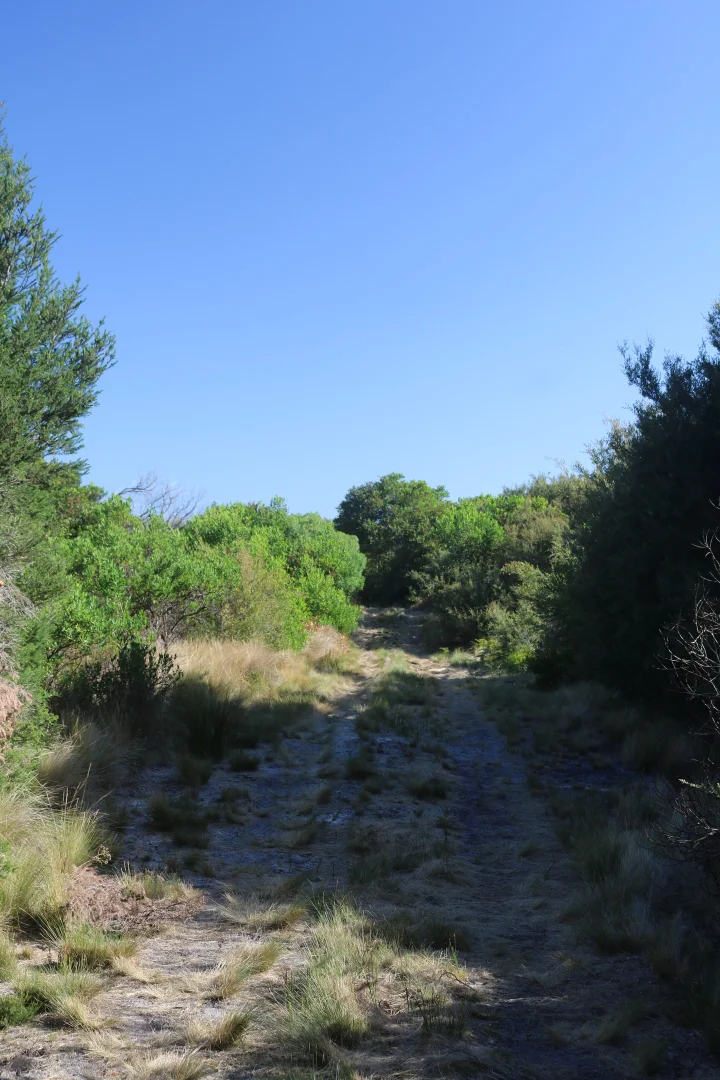 Image 12