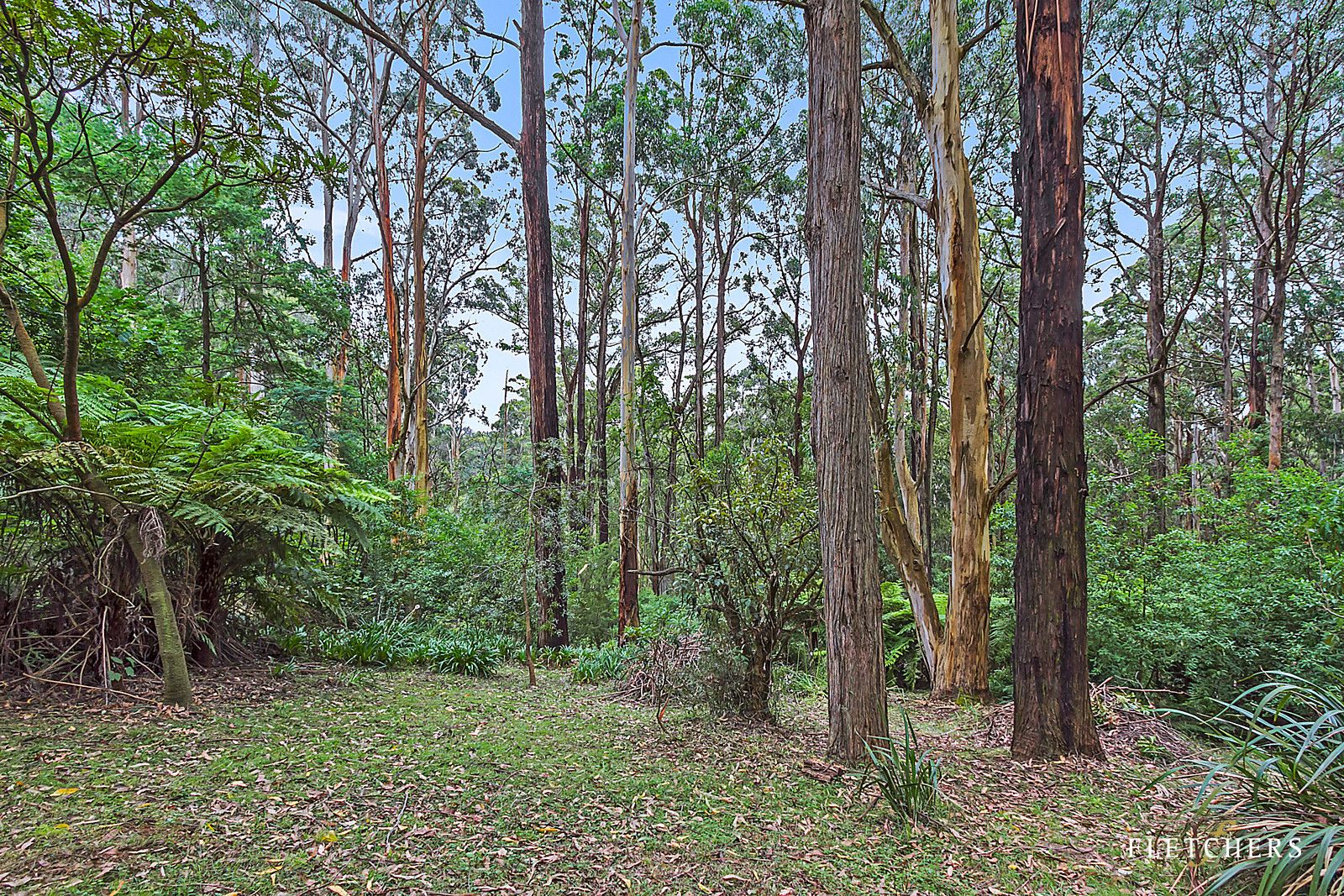 9 Doughtys Road, Kalorama VIC 3766, Image 1