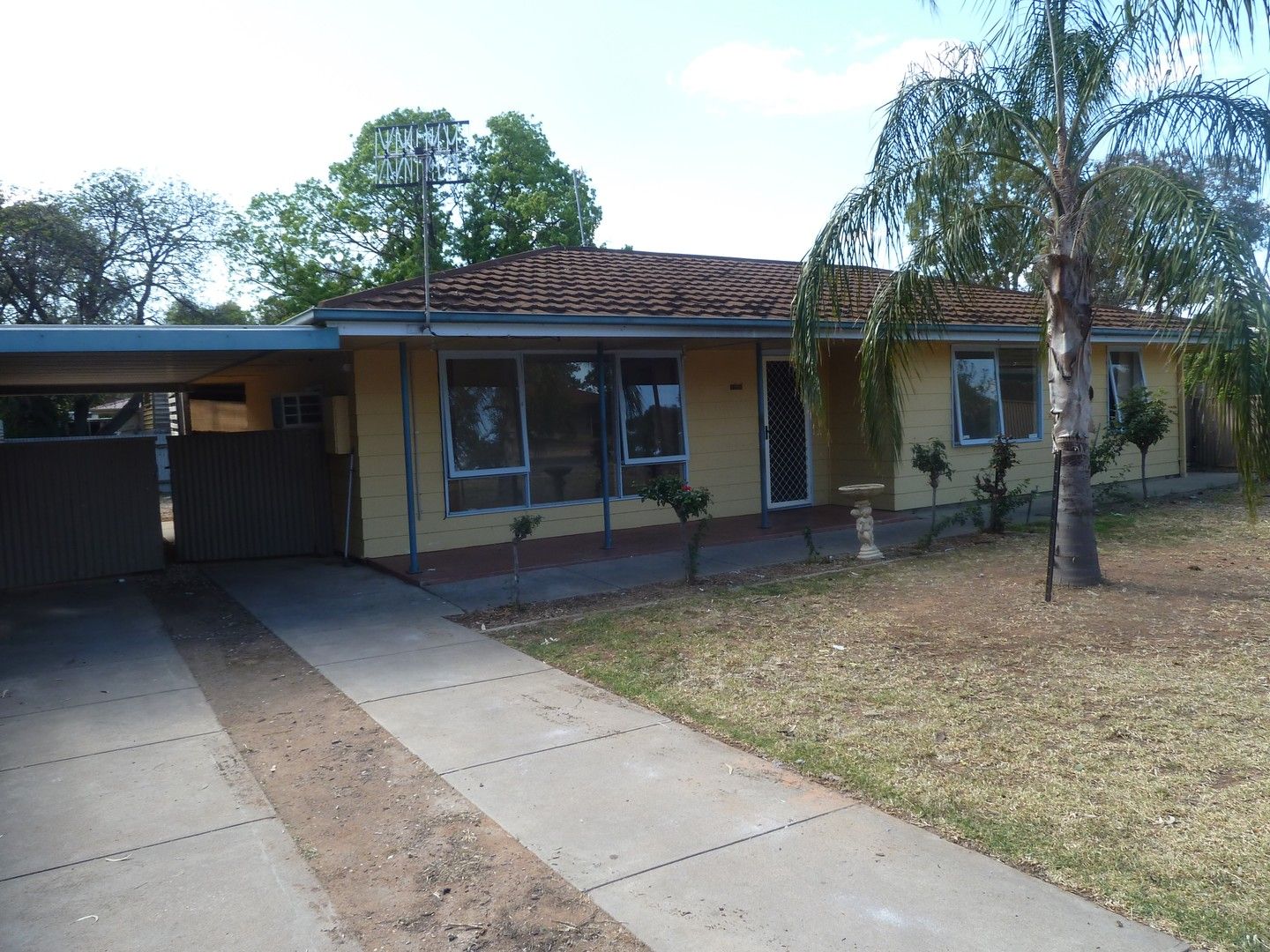 51 Sims Parade, Renmark SA 5341 House For Rent Domain