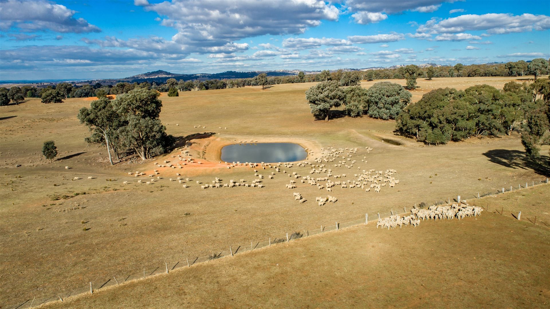 Benloch O'Briens Creek Rd, Big Springs via, Wagga Wagga NSW 2650, Image 1