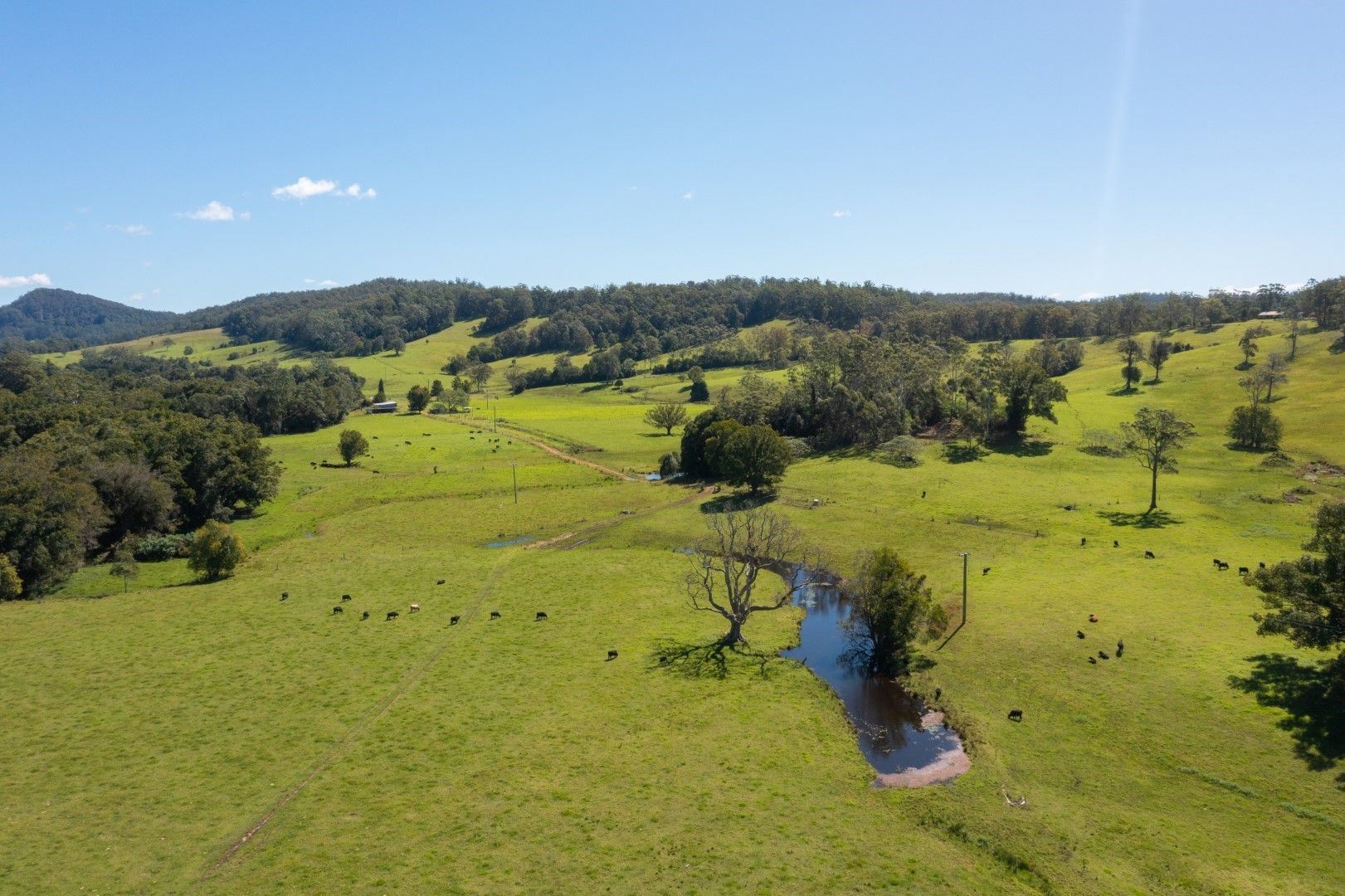 Rural in 256 Batar Creek Road, KENDALL NSW, 2439
