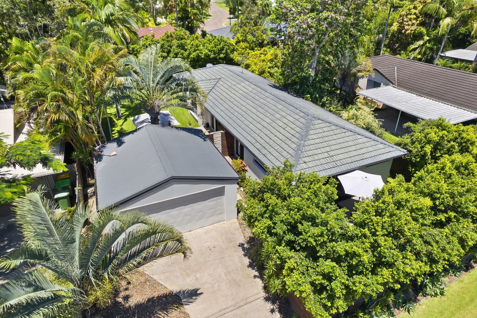 12 Gumnut Court, Tewantin QLD 4565, Image 0