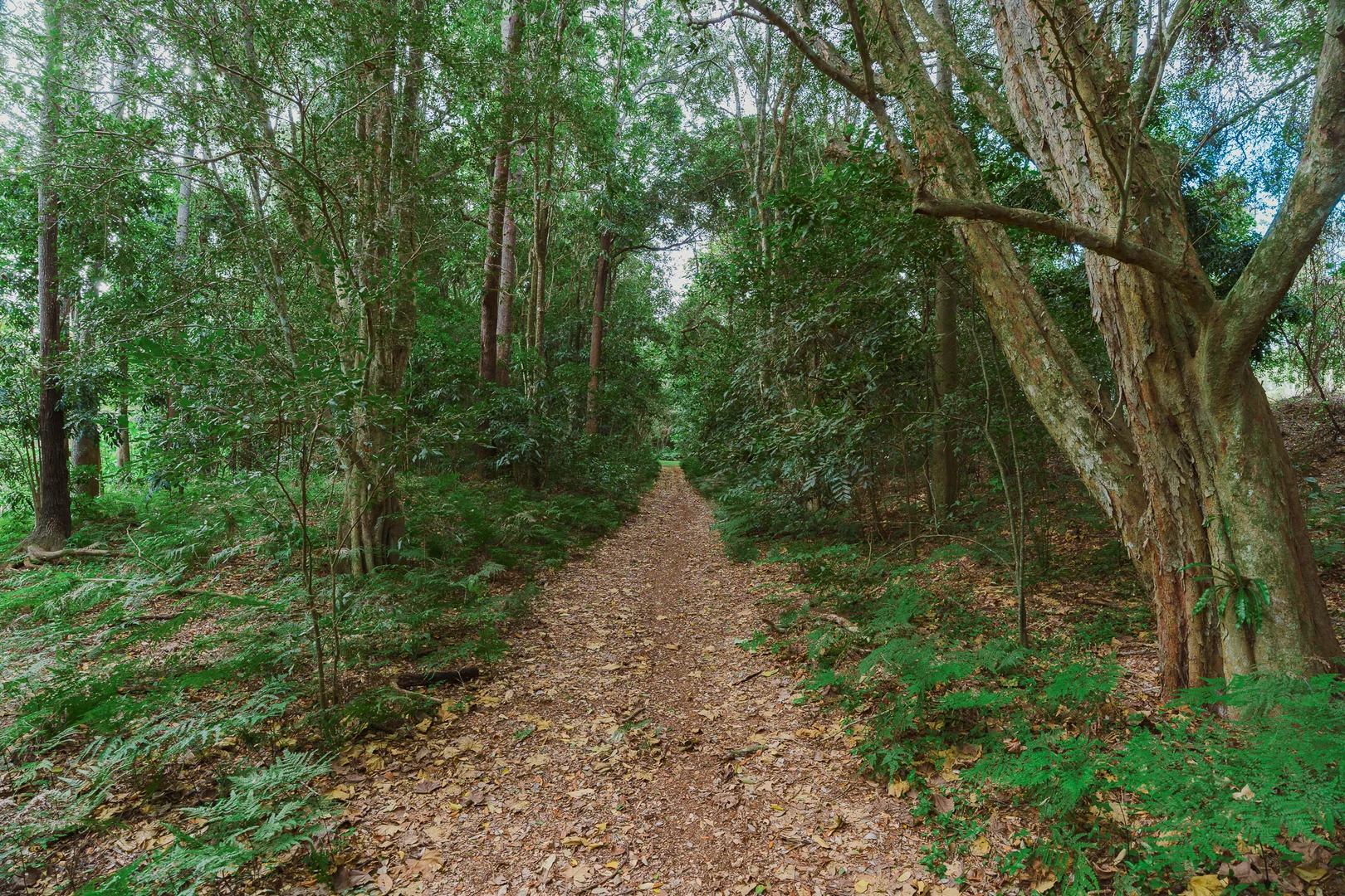 Image 19